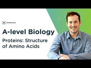 Proteins: Structure of Amino Acids Video Lecture | Biology A-Level - A Level