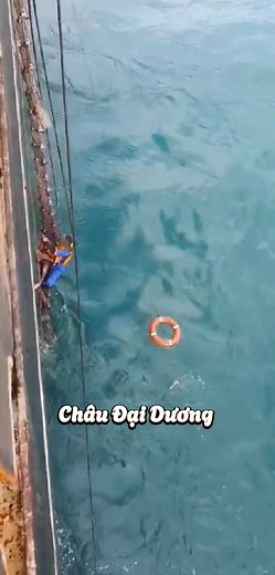 986K views · 19K reactions | Clip ghi lại khoảnh khắc xúc động khi...