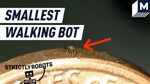 28K views · 178 reactions | Engineers from Northwestern University in Evanston, Illinois have developed the smallest walking robot ever, and it’s a crab. The half-millimeter robot is modeled after a peekytoe crab and is just the latest iteration in a long line of small robots created by the researchers. The goal for creating a bot so small is to move towards more practical uses of the technology and gaining entry to more hard to reach, tightly confined spaces. | Mashable | Facebook