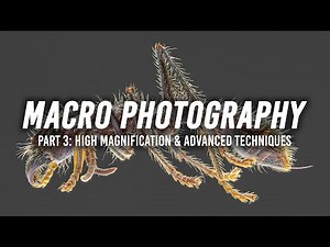 Macro Photography | Part 3: High Magnification and Advanced Techniques