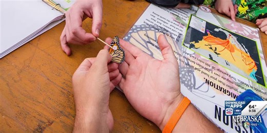 Tagging and tracking monarch butterflies