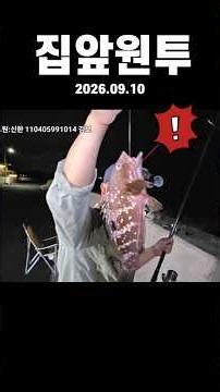 대박!집앞붉바리원투#컬투채비#아스타6450#헥사추#낚시