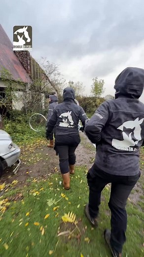 2.2K views · 9.9K reactions | Mission sauvetage : 35 oies ! ️ Suite...