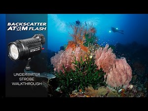 The Most Powerful Compact Strobe - The Backscatter Atom Flash Review