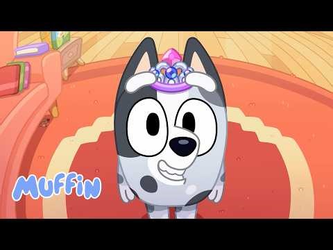 Say Cheese! 📸 | Playing Library with Bluey 📚 | Muffin - Official Channel