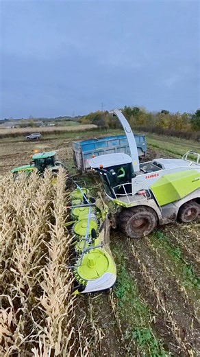 Sam in the CLAAS Jaguar forage harvester working in this field of maize for silage | Pro Horizon Farming Content