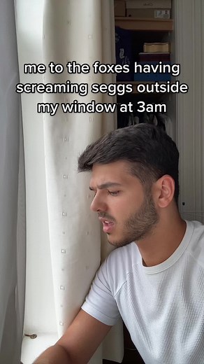 Terrifying Fox Mating Sounds at 3am