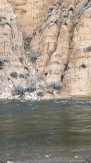 🚨 URGENT HELP NEEDED SILVERWOOD/SUMMIT VALLEY 🚨 A young German Shepherd is stuck on a steep mountainside and needs immediate assistance. A friend @mountain_mutt.__adventures came across him while hiking — he was stranded and would not come to her. She tried for some time, but it was getting dark and she had no cell service, so she had to retreat for safety. Here’s what she reported: she took the 173 from Silverwood toward Hesperia, turned left onto Arrowhead Lake Road, and parked just past the