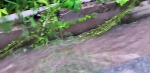 1K views | The weather in the British Virgin Islands today Evening...