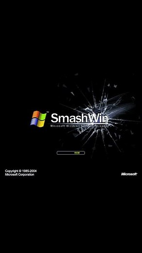 Microsoft Windows Concepts Nano 494