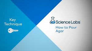 Key Technique: How to Pour Agar