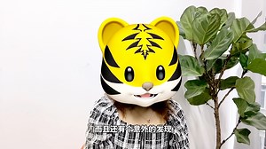 VIPKID的外教怎么样？