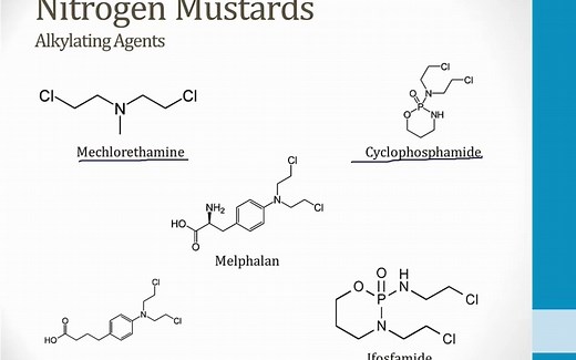 USMLE Step 1/Boards and beyond/Hematology