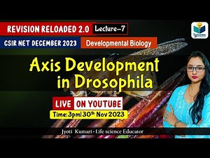 Revision Reloaded 2.0 | Axis Development in Drosophila | CSIR Dec 2023 | Lecture 7