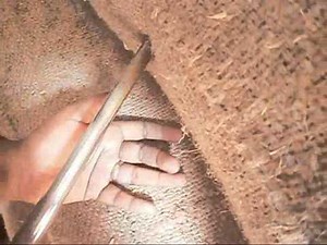 Seed sampling using sleeve trier.wmv