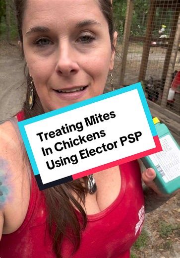 Treating Mites in Chickens with Elector PSP