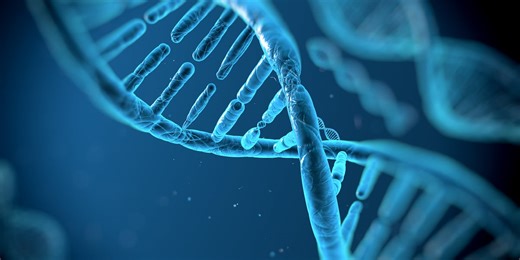 Katie’s Law: college student’s murder could be model for Iowa law