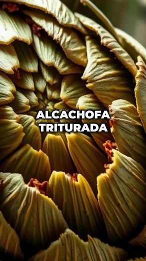 Descubre los Beneficios de la Alcachofa para tu Salud