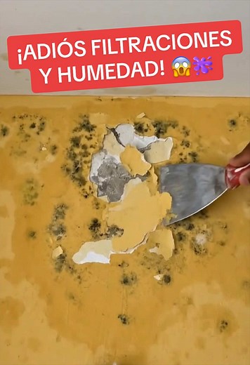 Cómo sellar filtraciones antes de pintar paredes con humedad