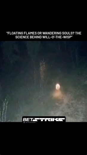 bleakfable on Instagram: "The will-o’-the-wisp is a natural luminous phenomenon often seen in swamps, cemeteries, or areas with heavy organic decomposition. It appears as small, floating flames near the ground, especially at night, and for centuries, it has inspired legends of spirits and wandering souls. Scientifically, this eerie light occurs due to gases like methane and phosphine, released from decomposition in oxygen-poor environments. These gases can ignite spontaneously when they meet air