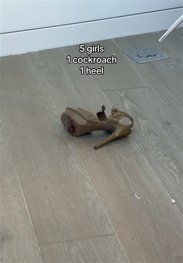 IT WAS ON ME during the fitting. ON the Crotch of the pants . | cockroach