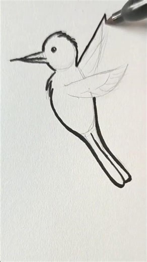 Aprende a dibujar y a delinear un colibrí fácil y rápido✏️ #draw #drawing #tutorial #colibri