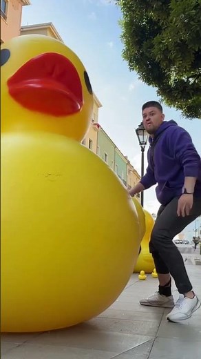 First ducks fell from the sky… then they started to grow