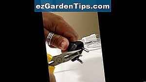 Como usar Sethoxydim para controlar a grama das Bermudas 🌱 Dicas Jardineiros - Pt.ezGardenTips.com