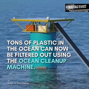 138K views · 1.3K shares | True Activist on Reels | Facebook