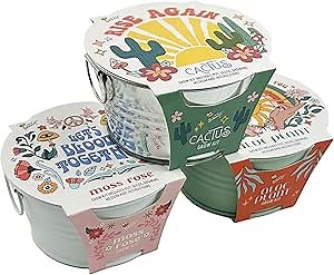 Buzzy Seeds Cactus, Moss Rose, Aloe Mini Basin Grow Kit Trio, 3pk, Indoor Gardening Starter Pots