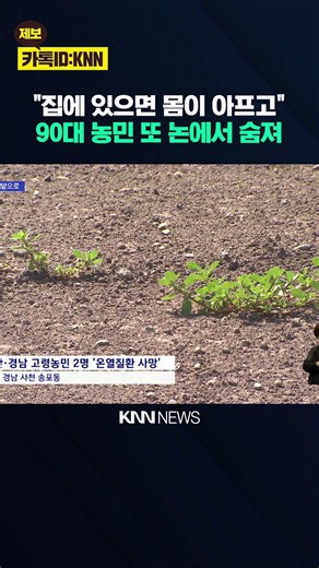 Elderly Farmers Die One After Another in Heatwave / KNN