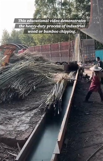 Industrial Wood and Bamboo Chipping Operations
