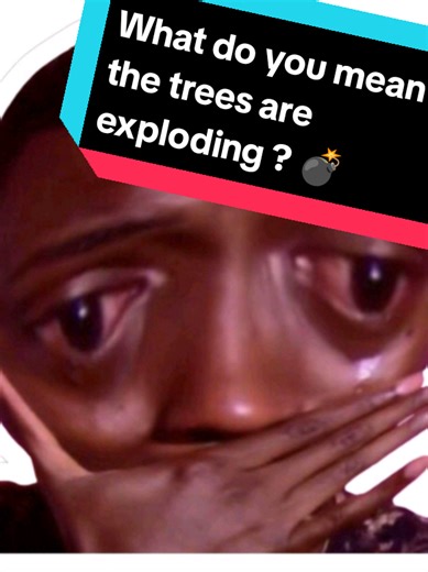 Its so cold in Canada right now that the trees are exploding 🤯 #weather #cold #trees #exploding #snow