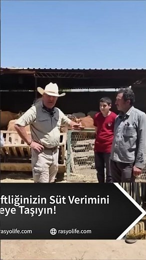 İneklerinizi Riske Atmayın! Gebeliğin Son 2 Ayı Neden Kritik?