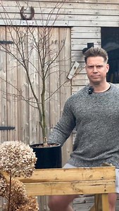 Pruning basics, without the drama: Stick to the 3 D’s dead, dying, diseased. Clean cuts, sharp tools, and always prune just above a bud. My book Garden Yourself Happy is available to pre-order now proper gardening advice, real life, and a lot less overthinking. Link in below 🌿 https://lnk.to/GardenYourselfHappy?fbclid=PAVERFWAPB2BBleHRuA2FlbQIxMABzcnRjBmFwcF9pZA8xMjQwMjQ1NzQyODc0MTQAAae0KWLvCcN1GlNSs1gbErQeY_CsvXPCUUAO56LiZFd8-J0x2nTqKimmpMuziQ_aem_VszG64hUEpikumbmh5Gafg | Gardenwithjonny