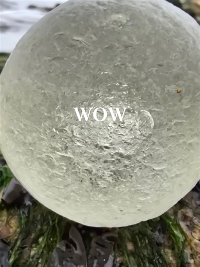 what a perfect 👌 seaglass moon 🌚 its even got a air bubble 🫧 trapped inside. #seaglassing #beachglass #seahambeach #beachcombinguk