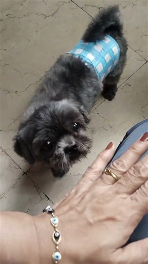 PLEASE DON'T SCROLL 🙏 #shortvideo #reastylevlogs