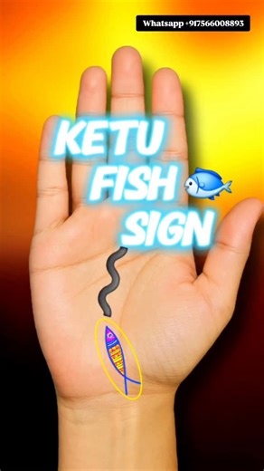Aadersh Gehlot on Instagram: "Palmistry: Ketu Fish Sign 🐟✨️ Follow @adarsh_palmistry_and_jyotish #palmistry #astrology #fishsign 💫Description: The Fish Sign on the Mount of Ketu is considered a highly spiritual and protective mark in palmistry. This sign indicates a person who is guided by divine energy and often protected from major dangers, accidents, and unseen negative forces. Such individuals usually have a strong past-life connection, karmic depth, and a natural inclination toward spirit