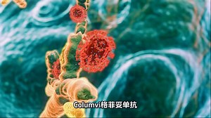 【海得康】Columvi（格菲妥单抗，glofitamab）是治疗什么的药物？
