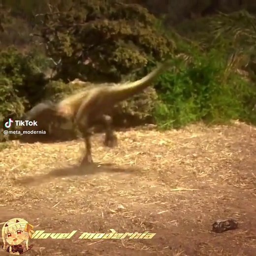 Allosaurus Broken Jaw: A Dinosaur Documentary