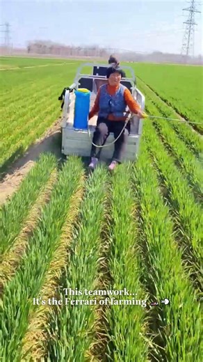 Crop Spraying Cheat Code Activated! 🎮 This is Pure Farmer Ingenuity! 💪#farminghacks #efficiency