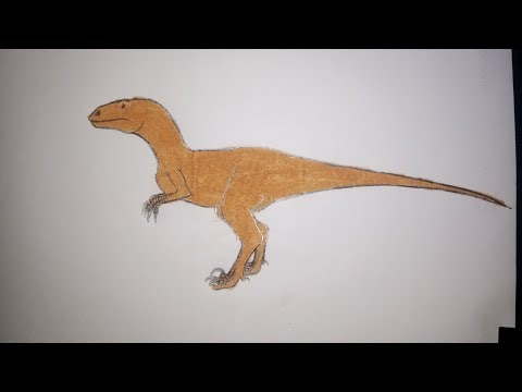 Drawing and colouring a Raptor 🦖 step by step.