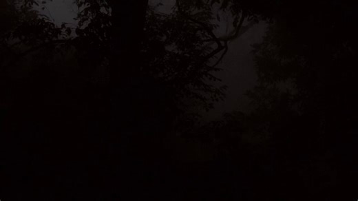 Truthstream Media (@truthstreamnews) on X