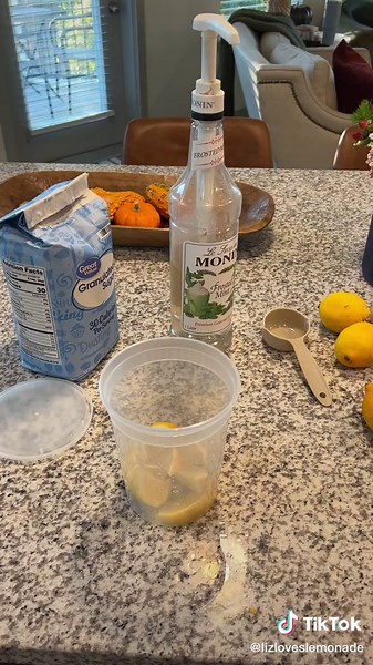 Refreshing Fair Style Mint Lemonade Recipe