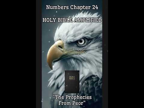 Numbers (Chapter 24) Amplified Bible