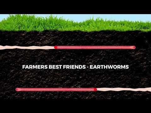 Earthworms farmers best friends