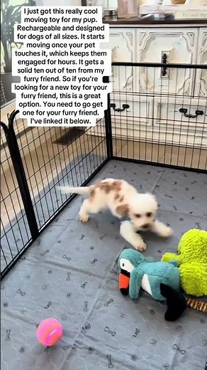 Ultimate Interactive Toy for Your Furry Friend Unveiled #PetLovers #FurryFriendFun