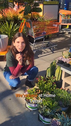 9.4K views · 97 reactions | Ready, set, succulents!  Our drop-in containers are bursting with awesome succulents, prepped and primed for their new pots. Just drop, pot, and watch them thrive! | Smart Planet Plants | Facebook