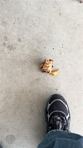 HELL YEAH #fyp #asmr #crunchy #crunch