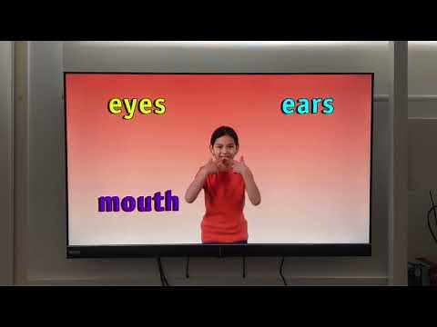 Your Baby Can Read Volume 2 Songs & Poems 2009 DVD